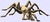 Arachne becomes a spider._tiny